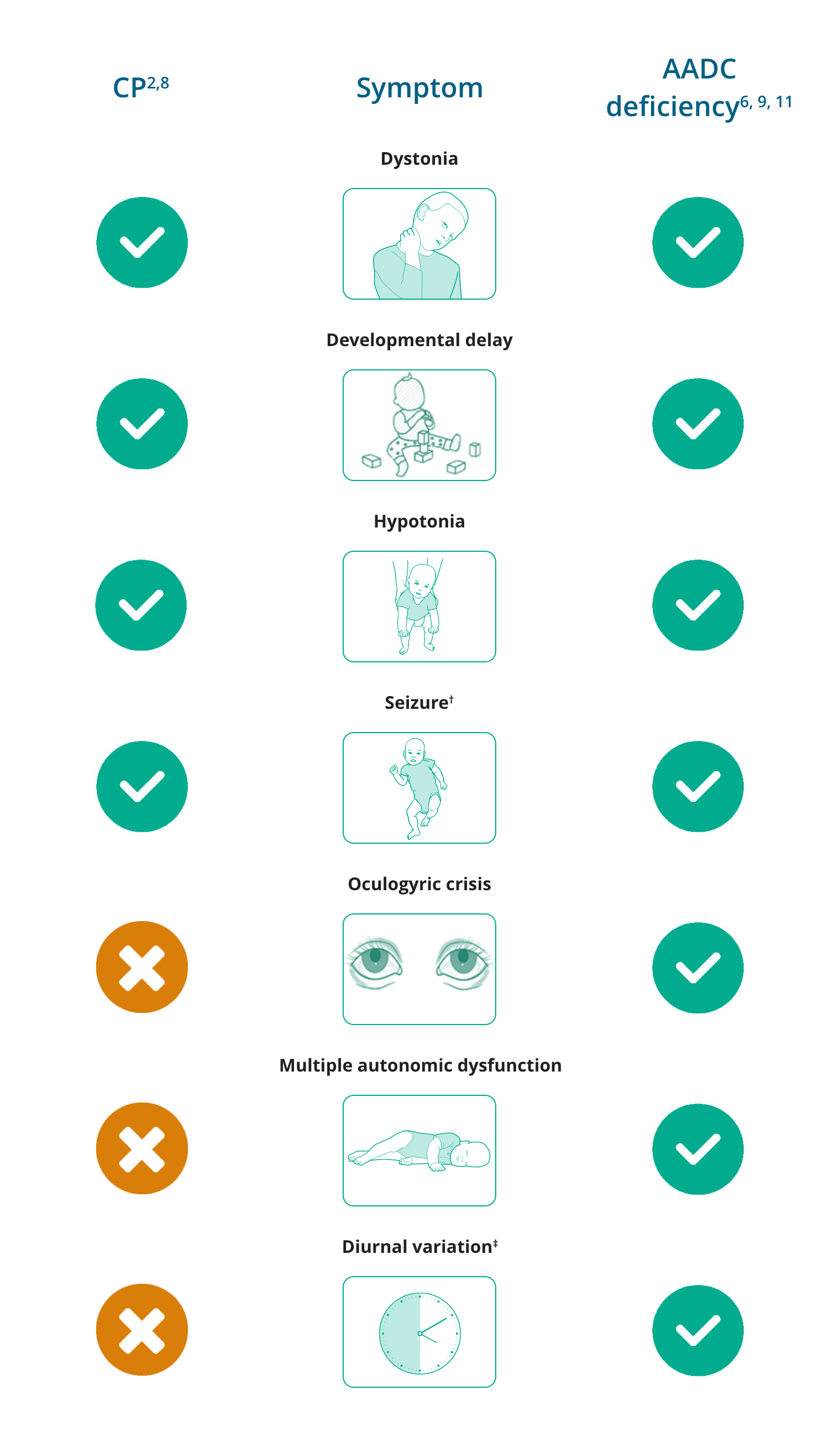 Comparison between CP and AADC deficiency